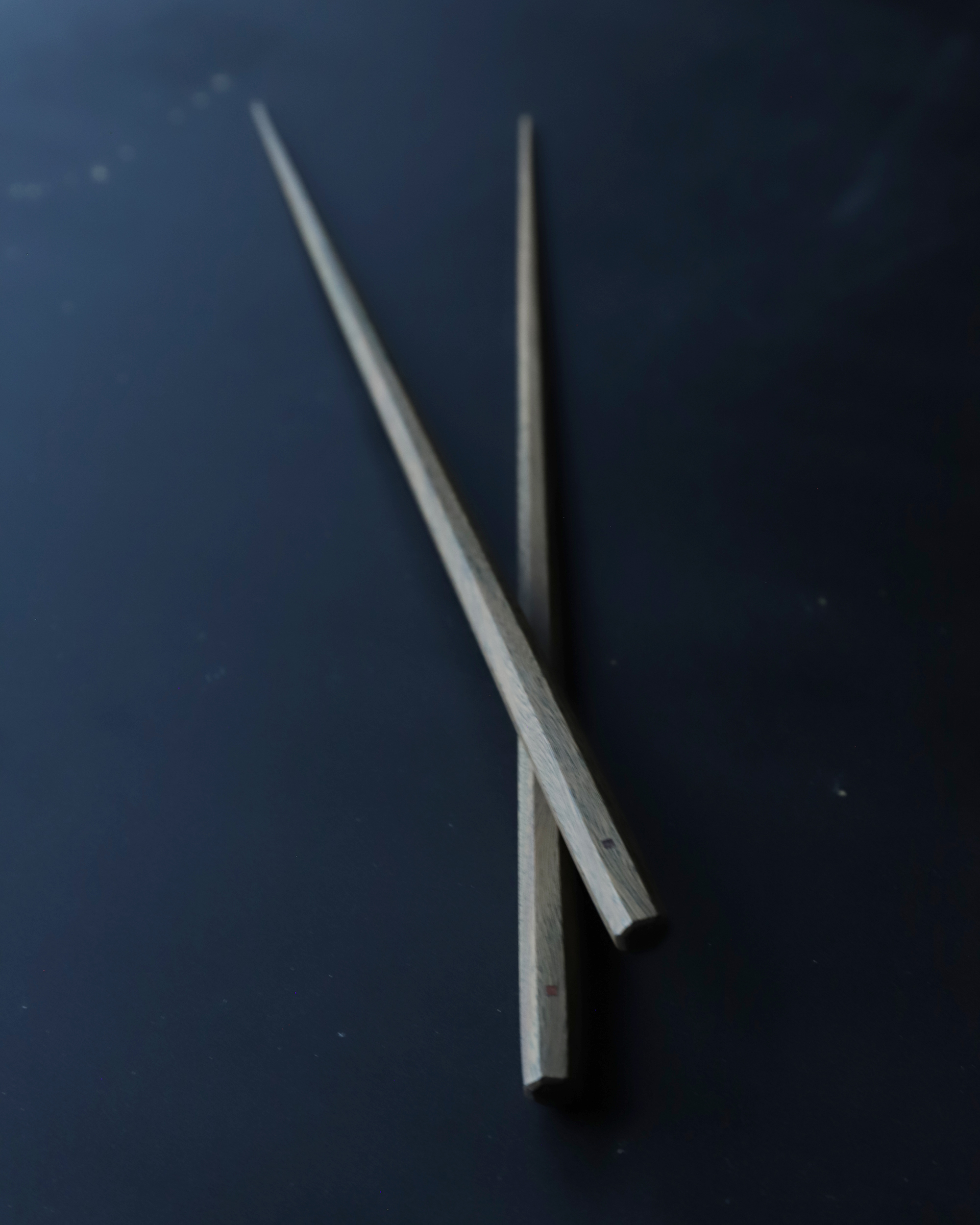 リグナムバイタ2